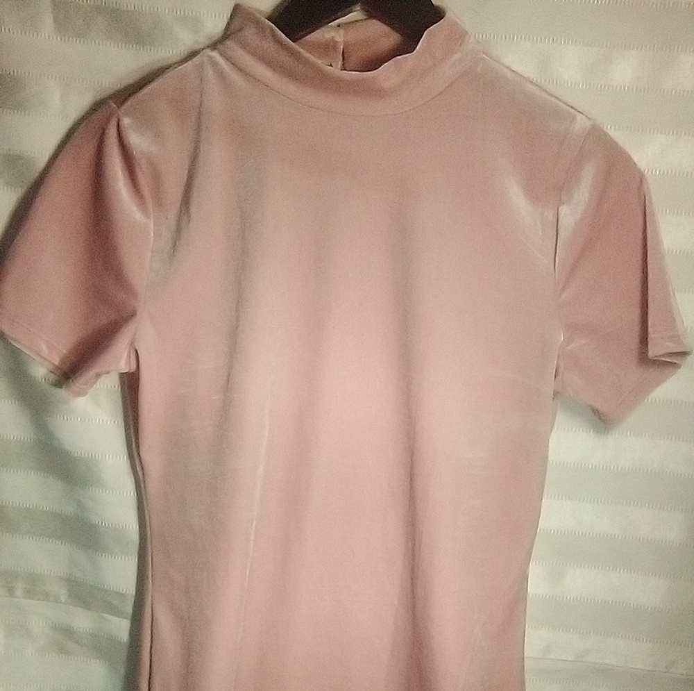 Pink Rose Suede Blouse